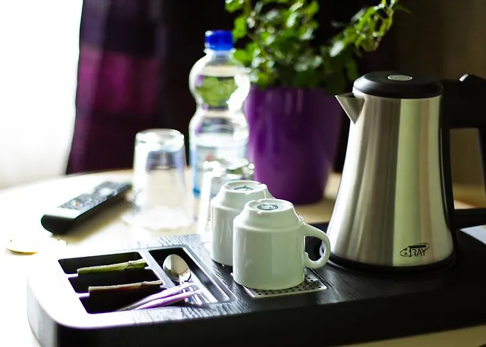 酒店 开罗里酒店 3*